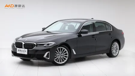 二手宝马530Li 尊享型 豪华套装