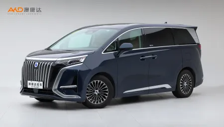 二手腾势D9 EV 600 四驱旗舰型