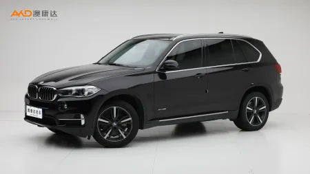 二手寶馬X5 xDrive35i 典雅型