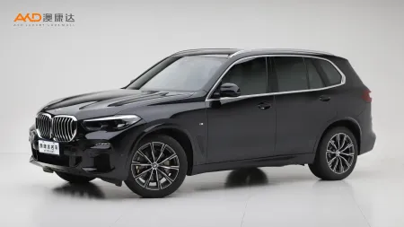 二手寶馬X5 xDrive30i M運(yùn)動(dòng)套裝