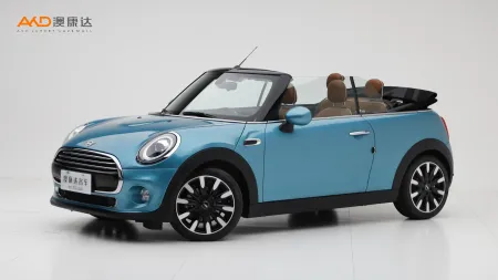 二手MiNi COOPER CABRIO 藝術家