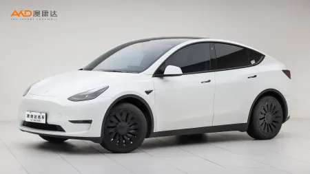 二手特斯拉Model Y 标准续航后驱版