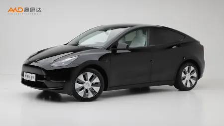 二手特斯拉Model Y 标准续航后驱版