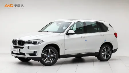 二手寶馬X5 xDrive35i 典雅型