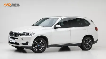 二手寶馬X5 xDrive35i 典雅型