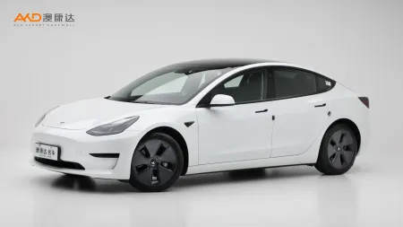 二手特斯拉Model 3 標(biāo)準(zhǔn)續(xù)航后驅(qū)升級(jí)版3D6