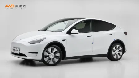 二手特斯拉Model Y 標(biāo)準(zhǔn)續(xù)航后驅(qū)版