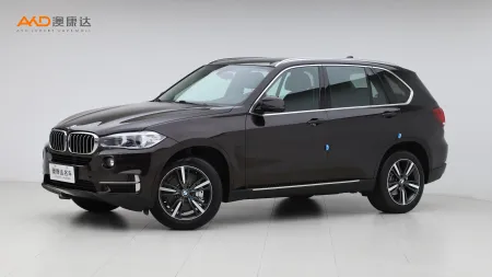 二手寶馬X5 xDrive35i 典雅型