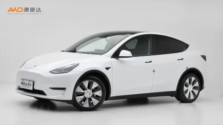 二手特斯拉Model Y 長續(xù)航全輪驅(qū)動版