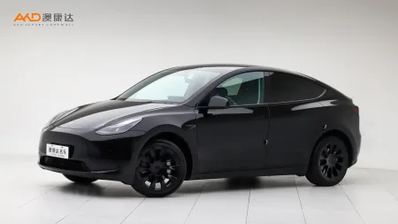 二手特斯拉Model Y 改款 后輪驅(qū)動版