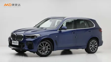 二手寶馬X5 改款 xDrive30i M運(yùn)動(dòng)套裝