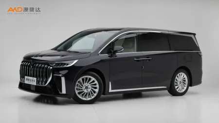 二手嵐圖夢(mèng)想家 PHEV 超長(zhǎng)續(xù)航尊貴版