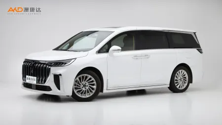 二手嵐圖夢想家 PHEV 超長續(xù)航尊貴版