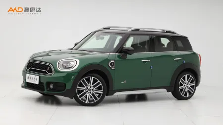 二手Mini COUNTRYMAN COOPER S ALL4艺术家