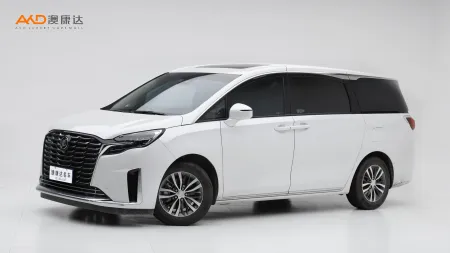 二手別克GL8 ES陸尊 尊享型
