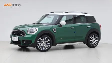 二手Mini COUNTRYMAN COOPER S ALL4艺术家