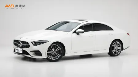 二手奔馳CLS300 動(dòng)感型