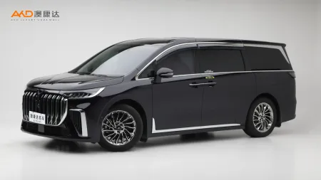 二手嵐圖夢想家 PHEV 超長續(xù)航旗艦版