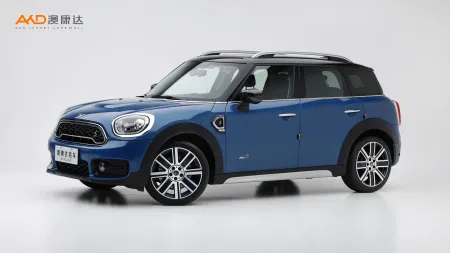 二手Mini COUNTRYMAN COOPER S ALL4艺术家