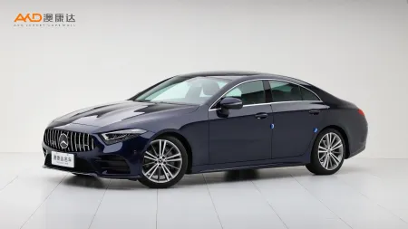 二手奔馳CLS300 動(dòng)感型