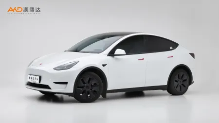 二手特斯拉Model Y 后輪驅(qū)動版