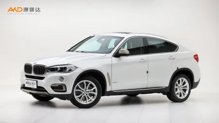 二手宝马X6 xDrive35i 领先型