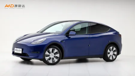 二手特斯拉Model Y 标准续航后驱版