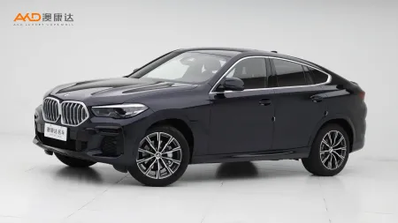 二手宝马X6 xDrive30i M运动套装