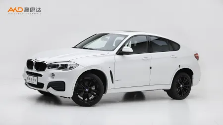 二手宝马X6 xDrive35i M运动套装