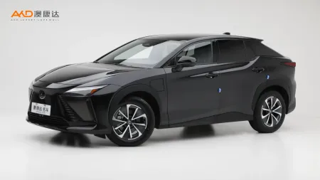 二手雷克薩斯RZ300e 長續(xù)航  縱享版