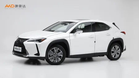 二手雷克萨斯UX300e  纯·享版