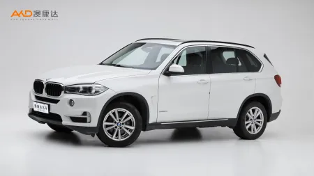 二手寶馬X5  xDrive35i 典雅型