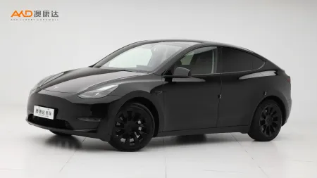 二手特斯拉Model Y 标准续航后驱版