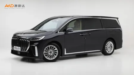 二手岚图梦想家 PHEV 超长续航尊贵版