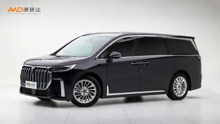 二手岚图梦想家 PHEV 超长续航尊贵版