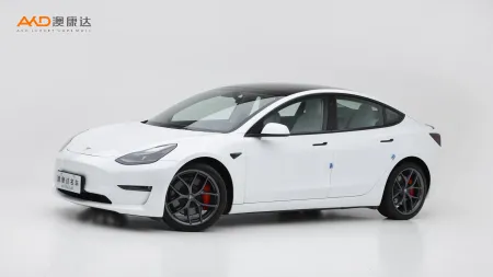 二手特斯拉Model 3  Performance高性能全輪驅動版