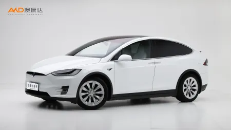 二手特斯拉Model X 100D