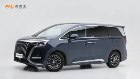 二手騰勢D9 EV 600 四驅(qū)尊榮版