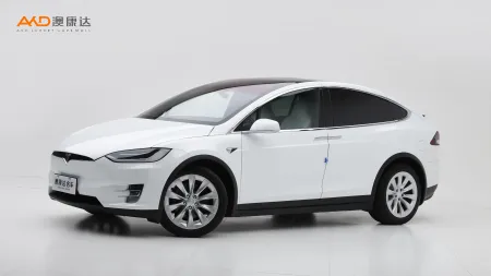 二手特斯拉Model X 100D