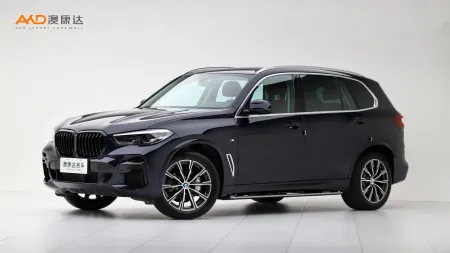 二手寶馬X5 xDrive30Li M運(yùn)動(dòng)套裝