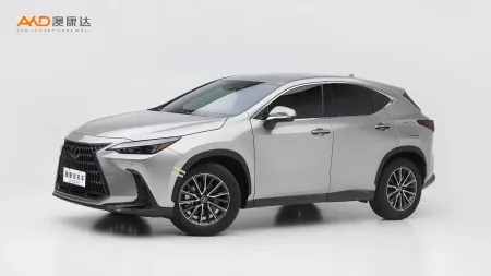 二手雷克薩斯 NX260 前驅(qū)創(chuàng)馳版