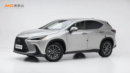 二手雷克薩斯 NX260 前驅(qū)創(chuàng)馳版