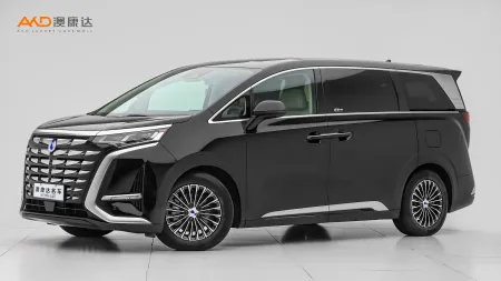 二手腾势D9 DM-i 1050 尊享型