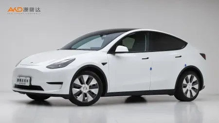 二手特斯拉Model Y 标准续航后驱版