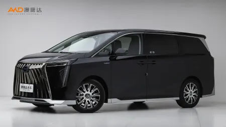 二手传祺E9  宗师