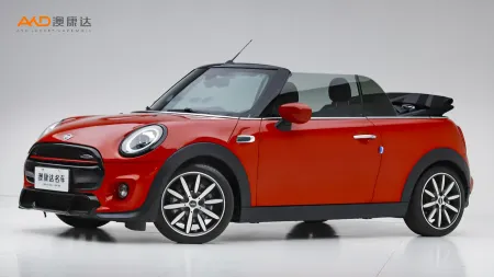 二手Mini COOPER CABRIO 艺术家