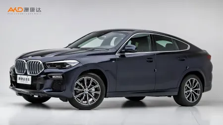 二手宝马X6 xDrive30i M运动套装