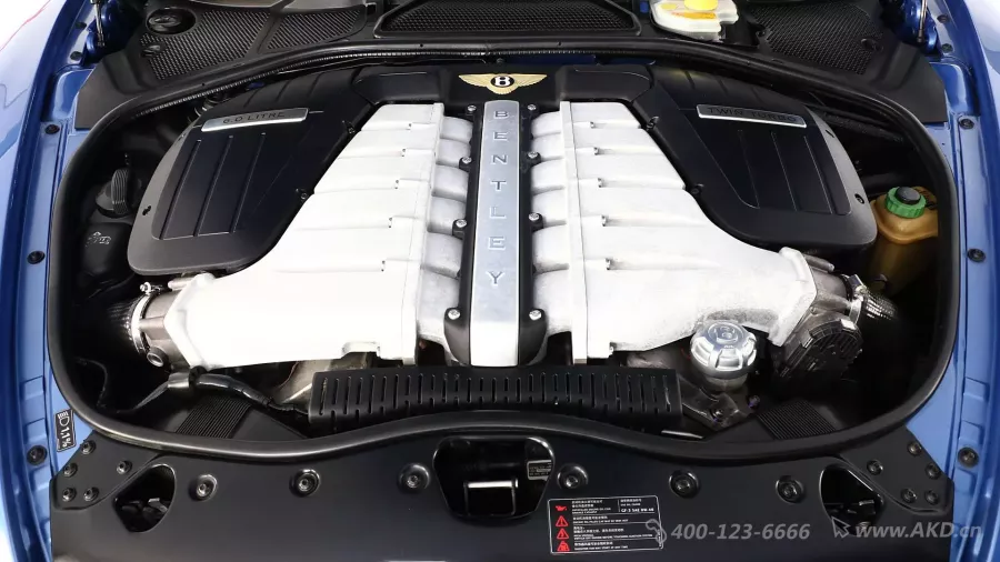 二手欧陆 6.0T GT W12  Supersports图片1297183
