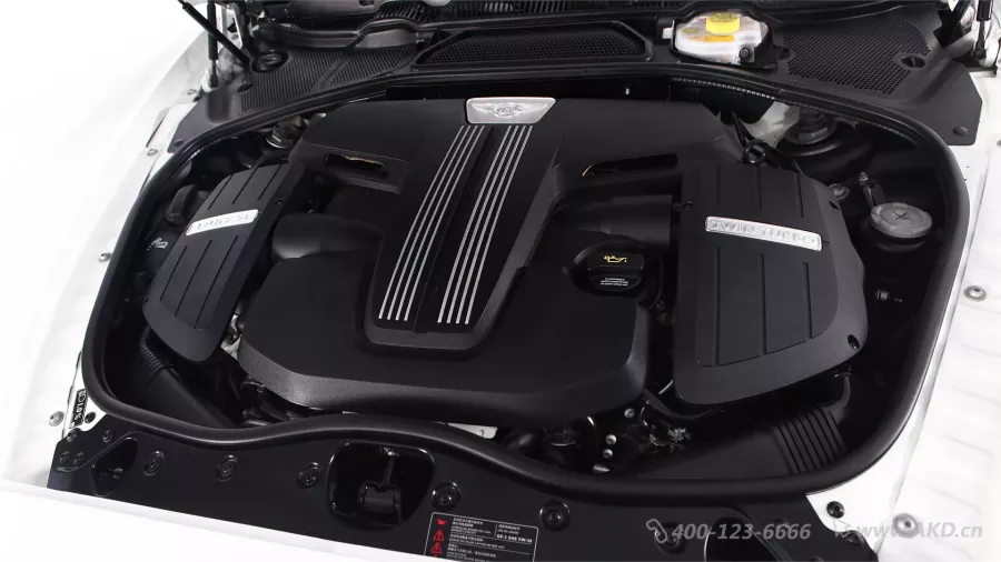 二手欧陆 4.0T GT V8 标准版图片1482510