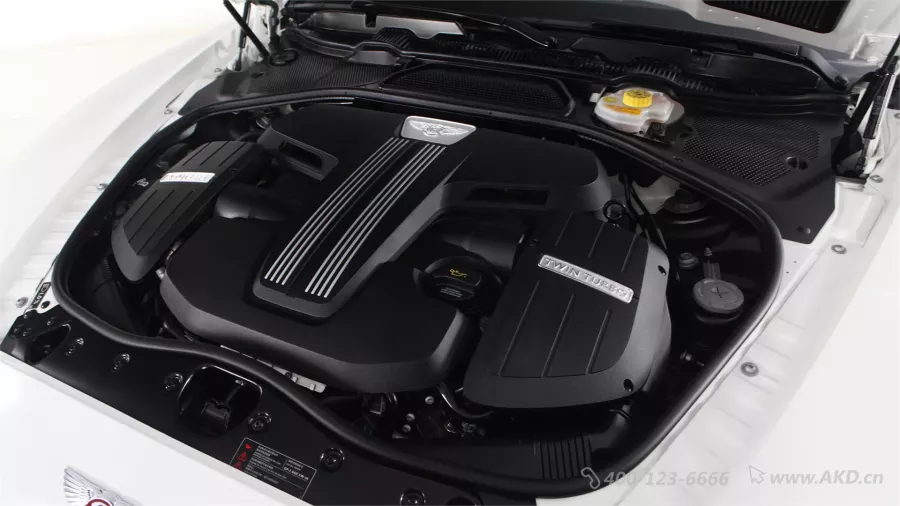 二手欧陆 4.0T GT V8S 标准版图片1599225
